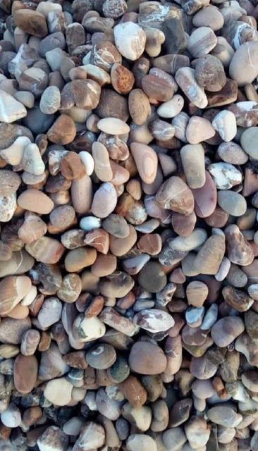 Pebbles Decorative - Image 4
