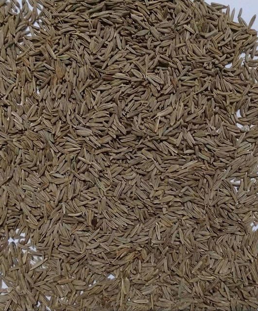 Caraway Origin Egypt - Image 1
