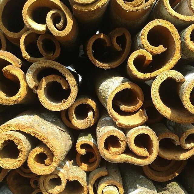 Whole Tube Cassia (unpeeled) Origin Vietnam Form Whole Stalks Port Hai Phong Port Max. Moisture (%) 13.5 Packaging 40kg / PP bag - Image 3