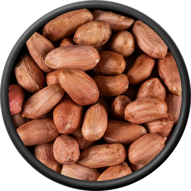 Wholesale Dried Peanuts AD Process 12 Months Shelf Life Bold Java Varieties High Quality Bulk Export Supply - Image 4