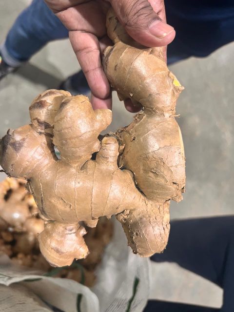 Fresh Thai Ginger 200g & up 20kg - 30kg Mesh Bag - Image 1