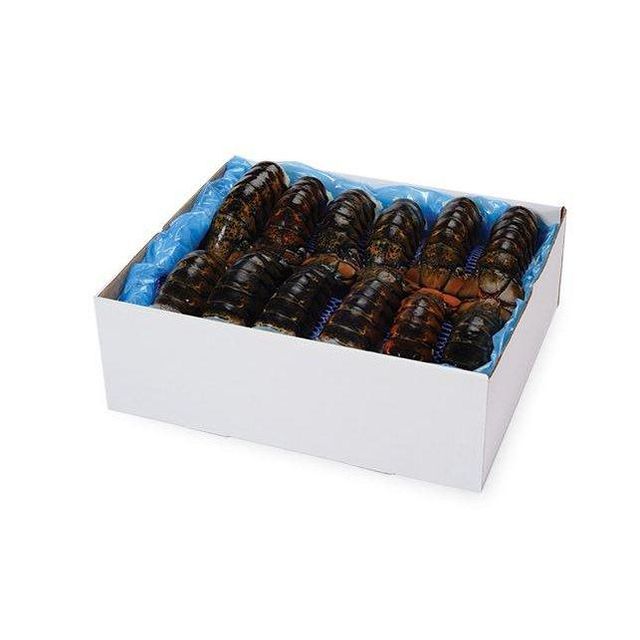 Premium fresh lobsters for sale perfect for seafood lovers and restaurants - Image 3