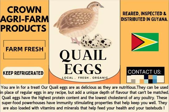Paper Labels of Quail Egg Tray MOQ 100000PCS Sample 3-7days Color Customize Shipment by Sea Origin Shandong HS Code - Image 1