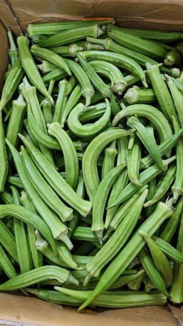 Fresh Okro – product photo 1, product detail gallery