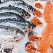 Fresh Salmon Fish / Salmon From Norway - 100% Export Quality Salmon Fish - Image 2