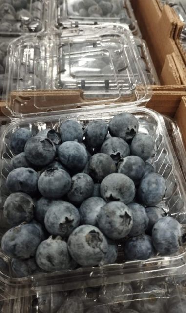 BLUEBERRIES BOX 1.5 KG - Image 3