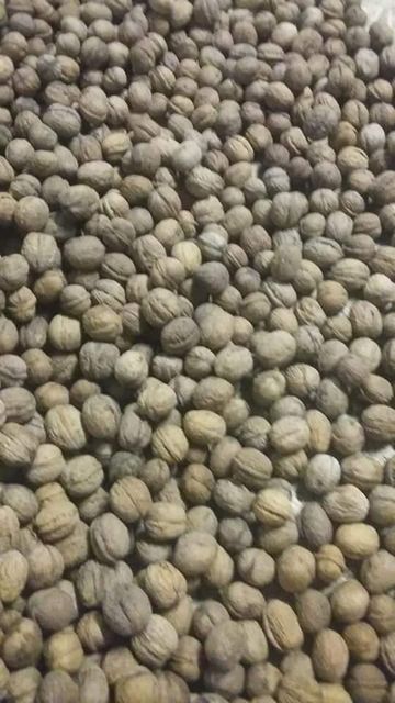 33 Organic In-Shelled Walnuts Top Class Dried Style Half Whole Snacks Bulk Packaging Shell Best Price Raw Walnuts Whatsap +255787979235 - Image 3