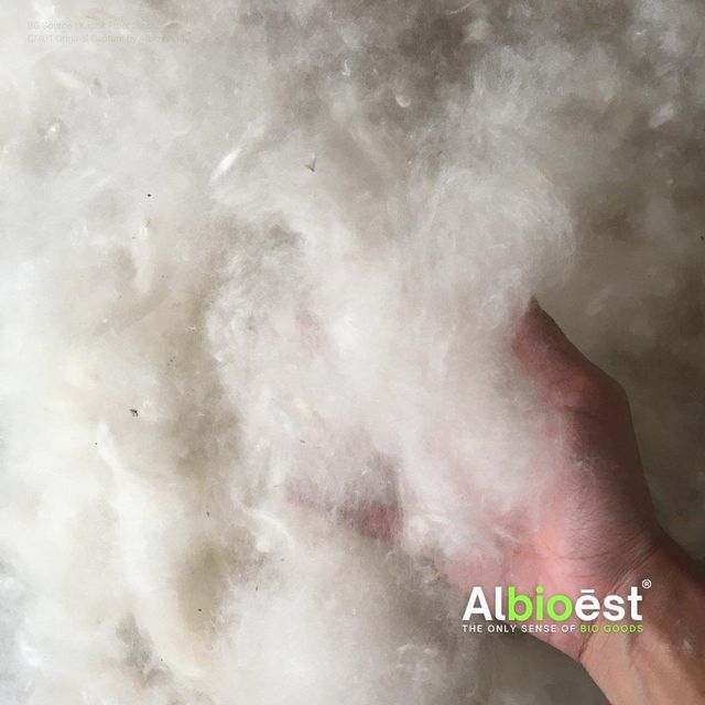 Kapok Fiber Origin Indonesia Type Natural Fiber Density ~0.35 G/cm³ Color White Yellowish Max. Moisture (%) 12% Moisture Regain ~8–12% - Image 4