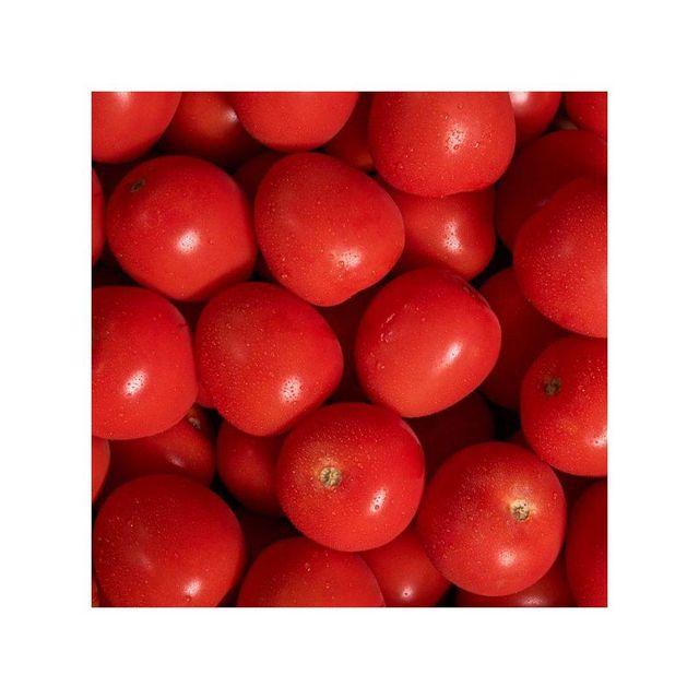 High grade plum tomatoes in stock ready for bulk shipment and export supply - Image 1