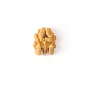 Whosales Chinese Traditional Nutrition Nuts Origin China Storage Shade Processing Raw Trademark sugo HS Code 0802320000 Transport Package Carton - Image 2
