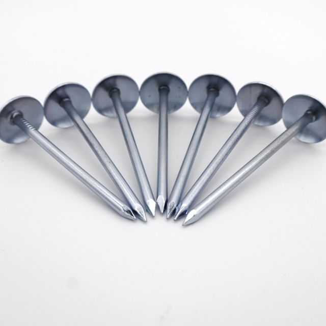 Umbrella Head Roofing Nails from China Nail Manufacturer Color Galvanized Port Qingdao Port Diameter 8 – 14 Gauge Place of Origin Linyi - Image 3