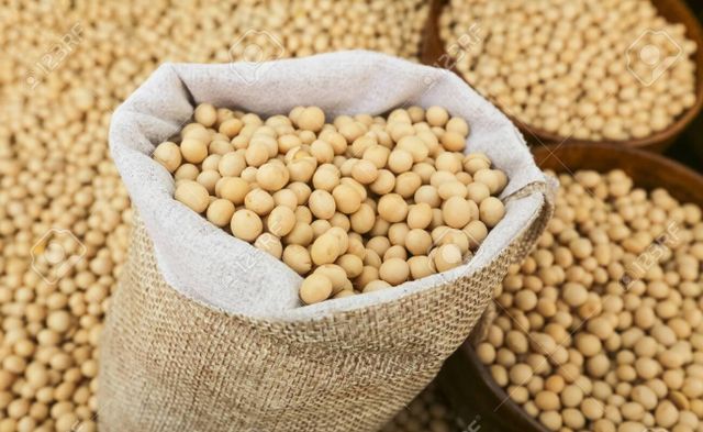 Soybeans NON-GMO SoyaBeans Seeds Suppliers - Image 3