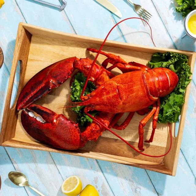 Fresh Live Canadian Lobster Restaurant Grade Seafood Cheap Price Strong Healthy Stock Ready For Fast Delivery - Image 5