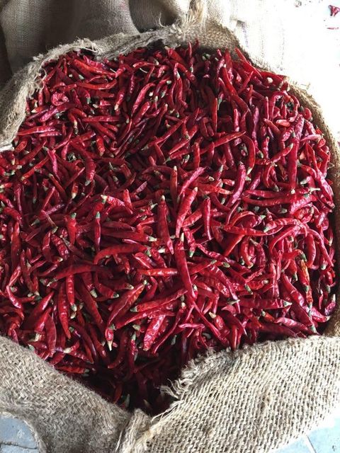 Dry Red Chilli - Image 5
