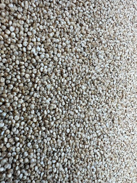 Quinoa Seeds - Chenopodium quinoa Color Red/White Shelf Life 3 Years Flavor Light, Nutty Place of Origin India Certification Non- GMO - Image 4