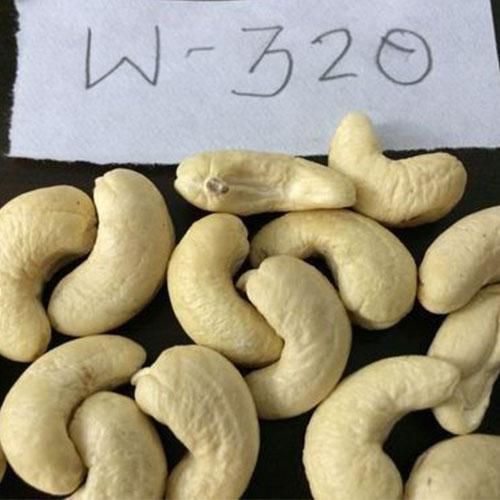Vietnamse Cashew Nuts W320 W240 and other types Exporter Fresh Cashew Nuts From Vietnam packaged cashew nuts - Image 1