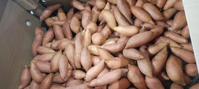 Sweet Potatoes Origin Egypt Shape Uniform Size 200–300 G Texture Smooth Features Organic Grade Export Grade Cooking Quality Excellent - Image 1