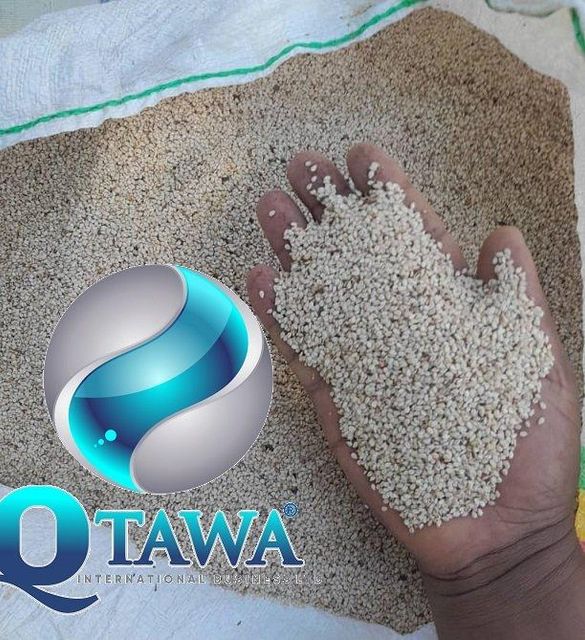 High quality Sesame seeds Organic Yes Shelf Life 5 Packaging 50kg Color yellowish Features Peeled Quality Grade 1 Origin Worldwide - Image 1