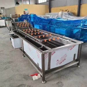 Industrial Vegetable and Fruits Pretreatment Processing Machine Bubble Cleaning Equipment - Image 2