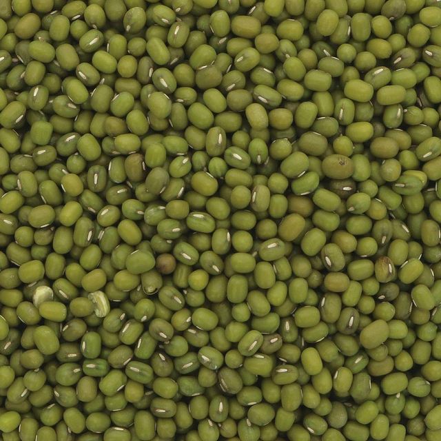 Fresh green Mung Beans natural and healthy top Mung Beans available in large quantity with fast shipping - Image 4