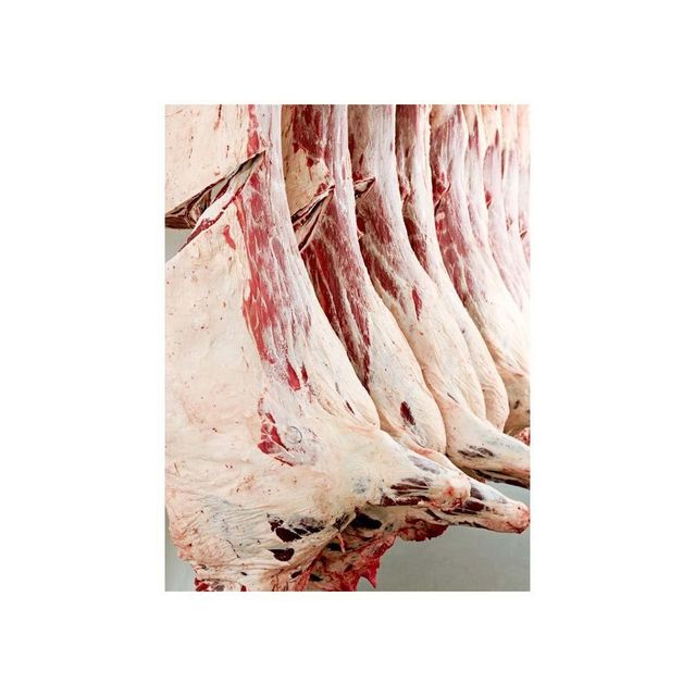 Premium frozen pork carcass processed for retail distribution and food service channels - Image 4
