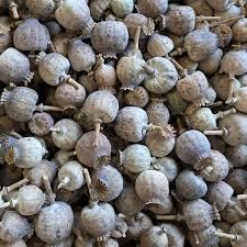 Dried Poppy Heads - Image 1