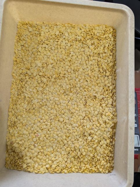 Yellow Split Lentils - Image 1