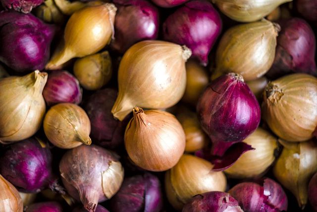 Premium Fresh Onions For Market Supply With Firm Bulbs Clean Appearance And Strong Flavor Ideal For Grocers Traders - Image 2