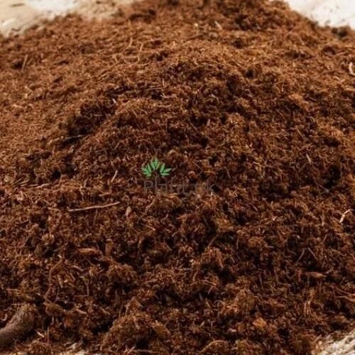 Peat moss bulk export at low price with fast international shipping Cheap bulk supply of peat moss - Image 4