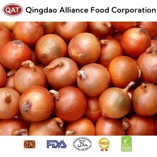 Fresh Yellow Onions Good Price Natural Healthy Onions Wholesale - Image 4