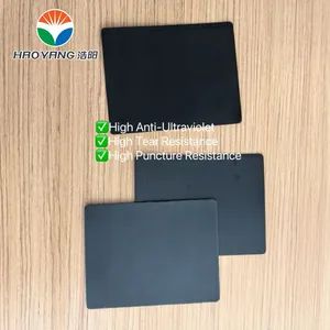 Great Value Geomembrane for Biogas Digester Width 1m~10m Origin China Suface Smooth Surface Smooth HS Code 56039490 Color Black, - Image 3