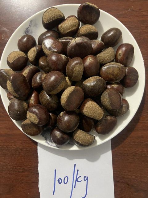 Sweet Chestnuts - Image 1