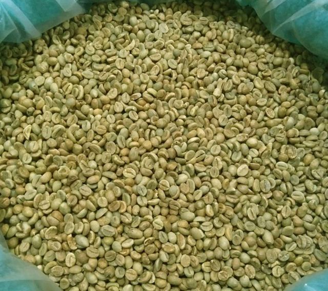 Green coffee beans - Image 1