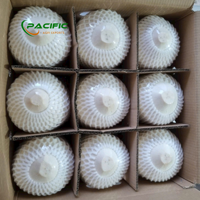 Fresh Young Coconut FDA Certificate, high BRIX – product photo 7, product detail gallery