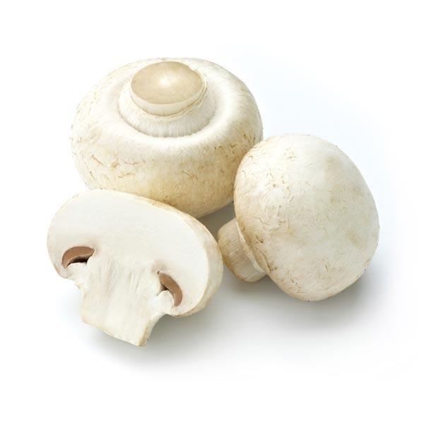 Premium Export Quality Oyster Mushroom Powder and Naturally Dried Mushroom Products - Image 6