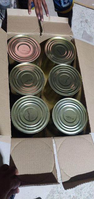 Totapuri Mango Pulp 3.1kg Canning - Image 5