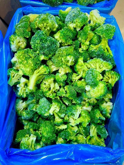 IQF broccoli Grade A Texture Crisp Taste Flavorful Model Number 081120 Quality Grade Premium Place of Origin Egypt Freshness Consistently Fresh - Image 3