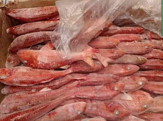 red mullet Color Red Form Frozen Origin Mauritania Size 100 Gr / 250 Gr Packaging 20 Kg - Image 3