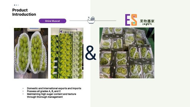 Korean fruits (strawberries, korea pears, korea melons, Shine Muscat, etc.) - Image 3