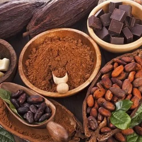 Wholesale Supplier Of Bulk Fresh Stock of Raw Dried Cocoa Beans - Image 5