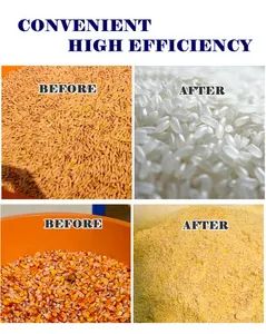 Grain Processing Machinery Paddy Milling Machine Rice Whitening Rice Huller Vietnam Hanoi Ho Chi Ming - Image 6