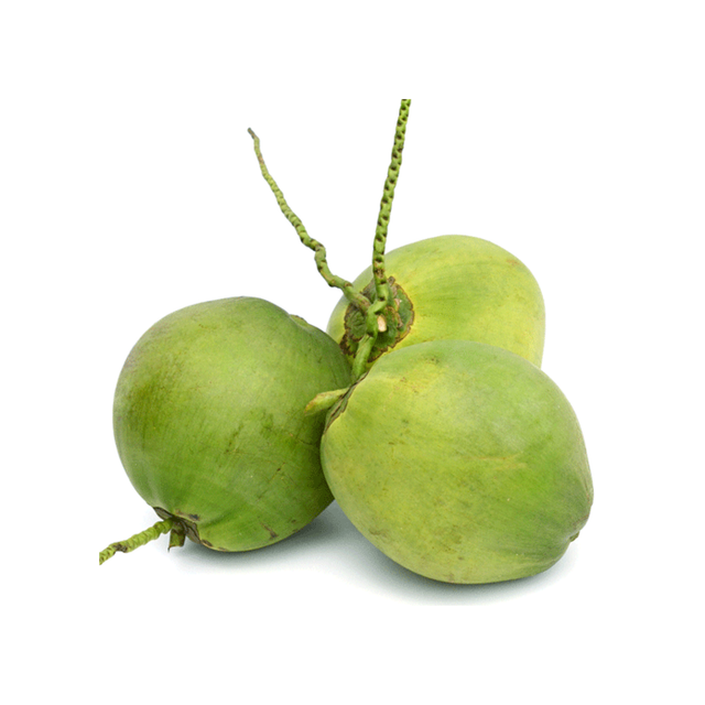 Fresh green Coconut From Vietnam 2024 natural coconut for drink Natural fruit Vietlinh Agrimex - Image 4
