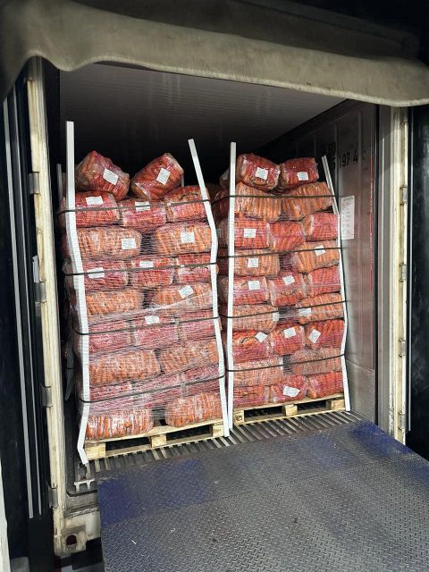 fresh high-quality carrots from Egypt for export all sizes - Image 4