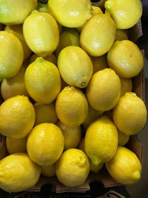 FRESH YELLOW SEEDLESS LEMONS FOR SALE!! CLASS 1 EXPORT QUALITY EUREKA LEMONS FOR EXPORT – product photo 3, product detail gallery