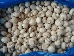 Frozen IQF Champignon Mushrooms Form Whole Size 3-5cm Shape Whole Place of Origin South Africa Shelf Life 24 Months Under -18°c - Image 2