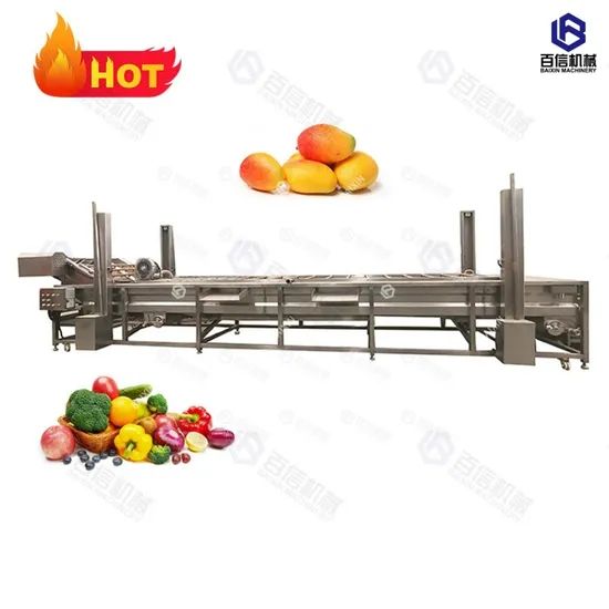 Different Model Washing Machine Fruit Cleaning Line Bubble Washing Machine - Image 6