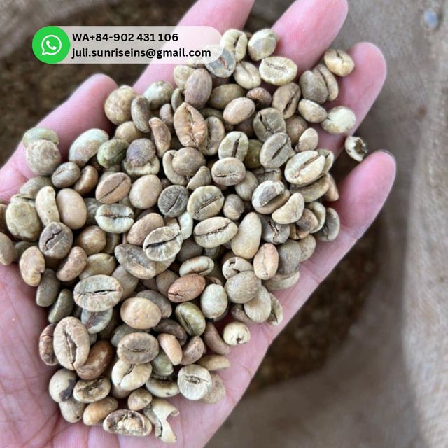 Vietnam Robusta Green Coffee Bean for Export - WA84-902431106 Juli – product photo 5, product detail gallery