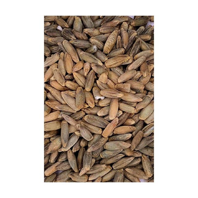 Bulk rye grain wholesale in large stock at cheap factory price - Image 2