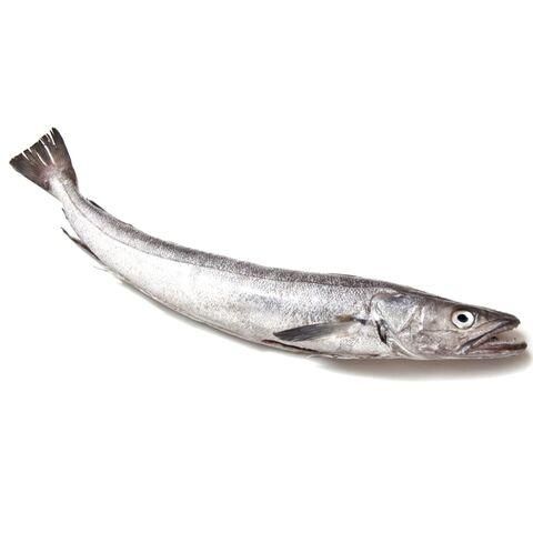 Available Stock Of Frozen Hake Fish/ Frozen Hake Fillet Fish Wholesale Good Quality Frozen Hake Fish - Image 3