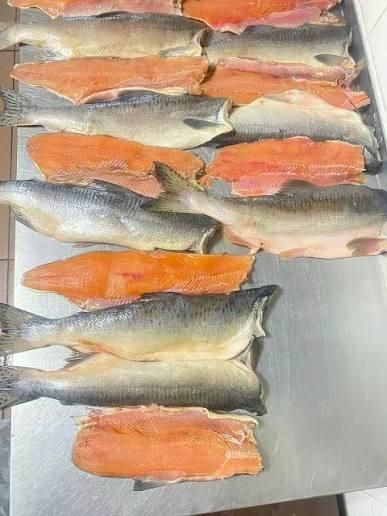 Pink salmon - Image 3